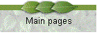 Main pages