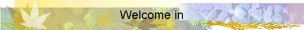 Welcome in
