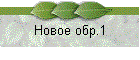 Новое обр.1