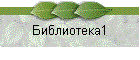 Библиотека1