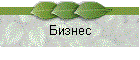 Бизнес