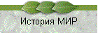 История МИР