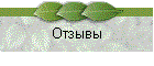 Отзывы