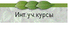 Инт.уч.курсы