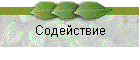 Содействие