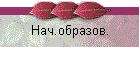 Нач.образов.