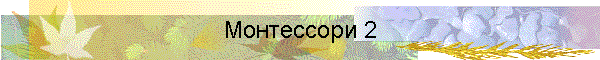 Монтессори 2
