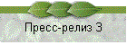 Пресс-релиз 3