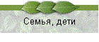 Семья, дети