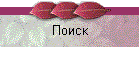 Поиск