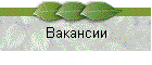 Вакансии