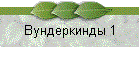 Вундеркинды 1