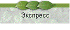 Экспресс