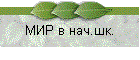 МИР в нач.шк.